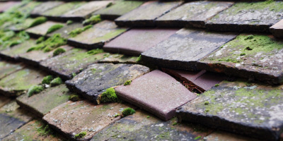 Wingrave roof repair costs